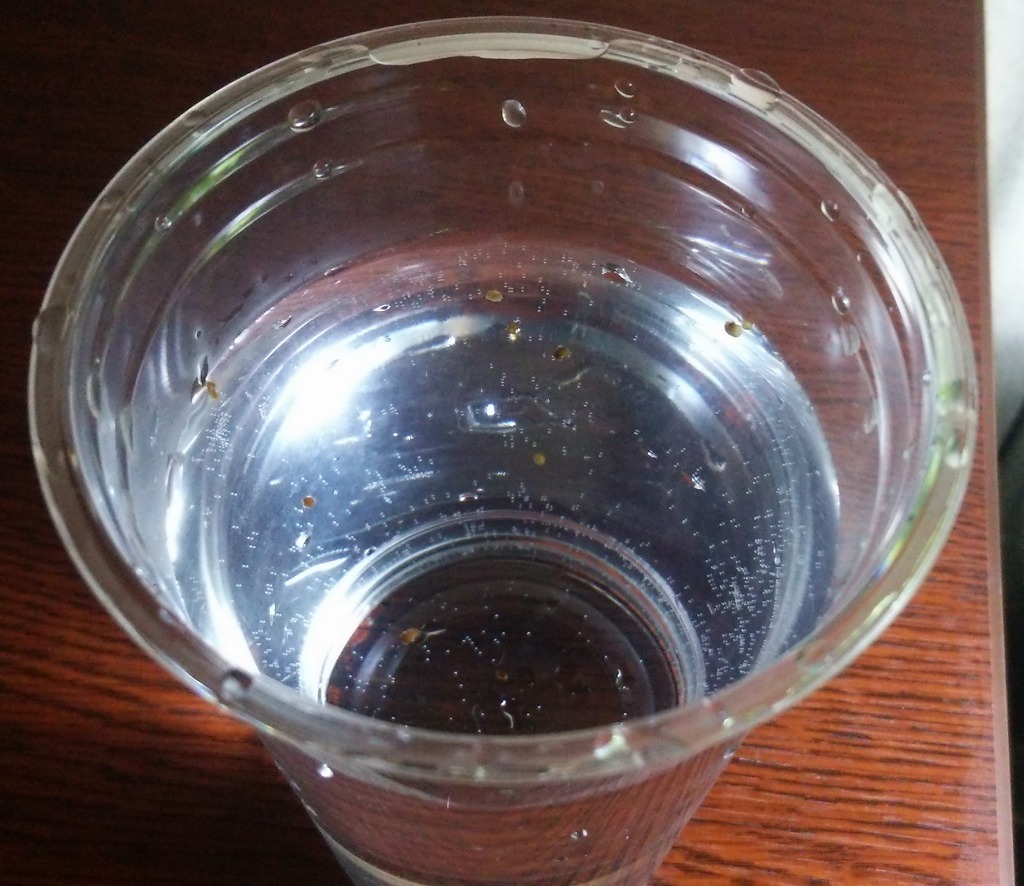 f:id:anubias:20160112183943j:plain