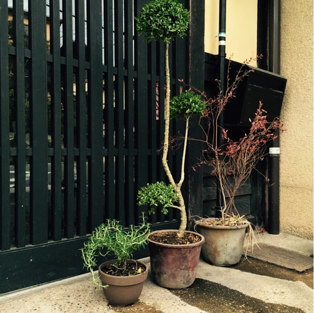 f:id:anyuni:20150307174006j:plain f:id:anyuni:20150307174006j:plain