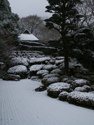 f:id:ao_lazward:20070114232151j:image f:id:ao_lazward:20070114232151j:image