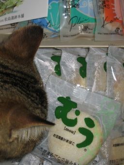 f:id:aobanozomi:20080222122351j:image f:id:aobanozomi:20080222122351j:image