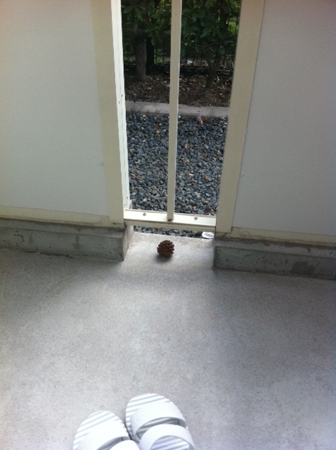 f:id:aohana:20111021075616j:image f:id:aohana:20111021075616j:image