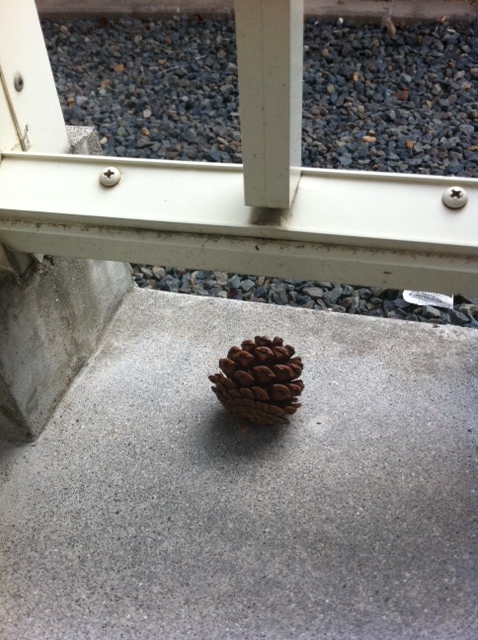 f:id:aohana:20111021075628j:image f:id:aohana:20111021075628j:image