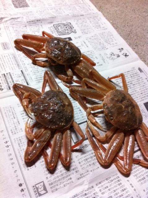 f:id:aohana:20111107172929j:image f:id:aohana:20111107172929j:image