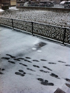 f:id:aohana:20120227074840j:image f:id:aohana:20120227074840j:image
