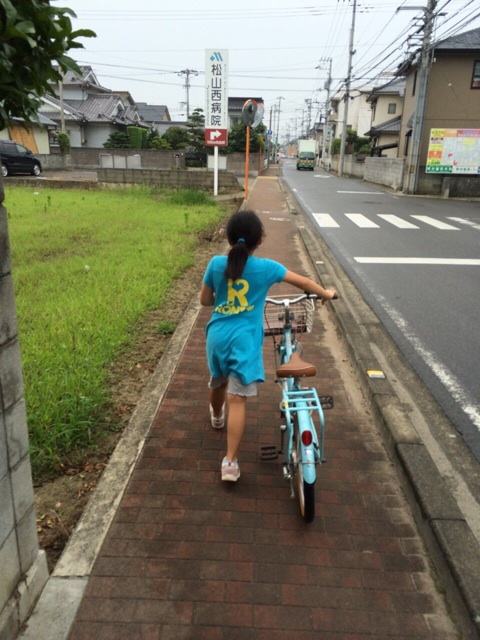 f:id:aohana:20140621203301j:plain f:id:aohana:20140621203301j:plain