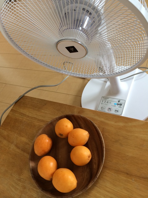 f:id:aohana:20140623232555j:plain f:id:aohana:20140623232555j:plain