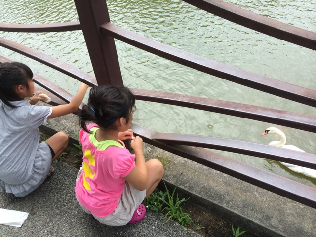f:id:aohana:20140820231407j:plain f:id:aohana:20140820231407j:plain