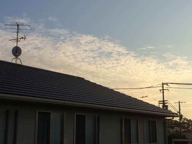 f:id:aohana:20140909202758j:plain f:id:aohana:20140909202758j:plain