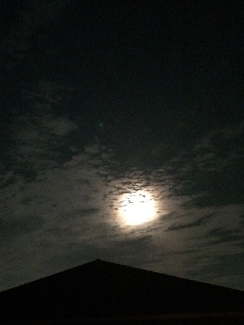 f:id:aohana:20140909203033j:plain f:id:aohana:20140909203033j:plain