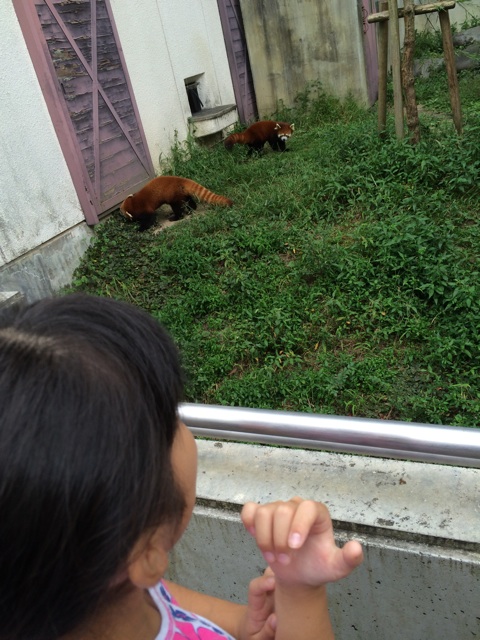 f:id:aohana:20140915155928j:plain f:id:aohana:20140915155928j:plain