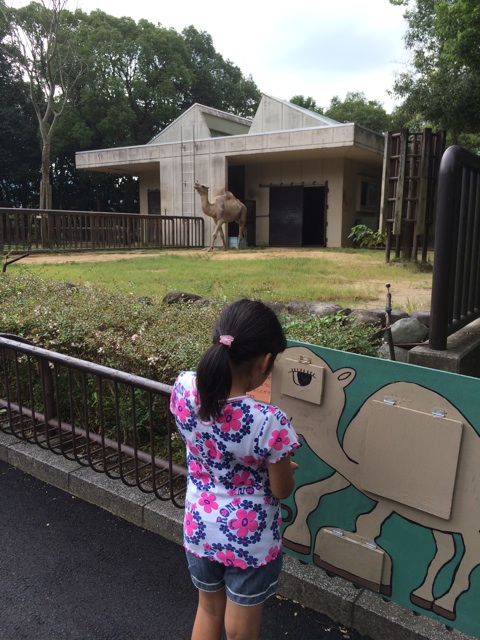 f:id:aohana:20140915160304j:plain f:id:aohana:20140915160304j:plain