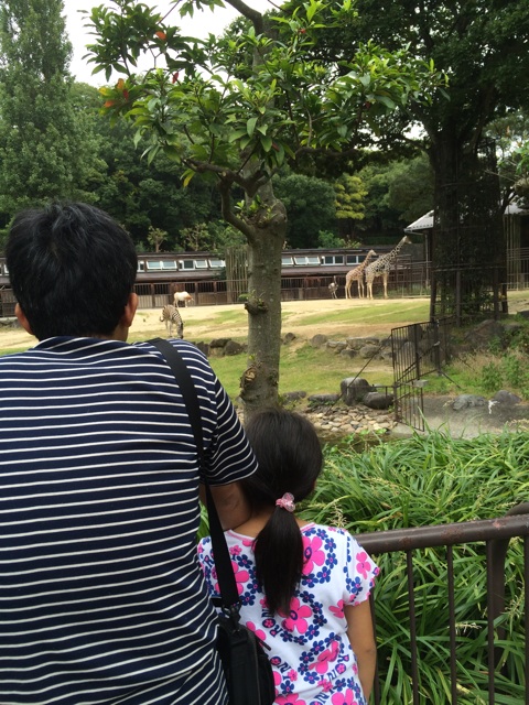 f:id:aohana:20140915160544j:plain f:id:aohana:20140915160544j:plain