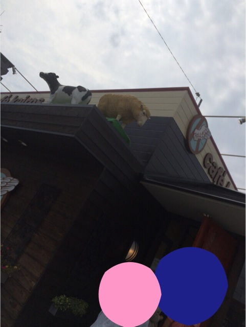 f:id:aohana:20140917171627j:plain f:id:aohana:20140917171627j:plain