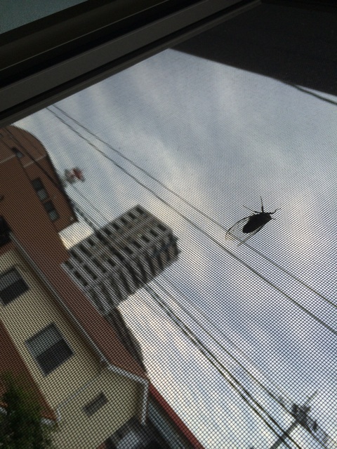 f:id:aohana:20140917172209j:plain f:id:aohana:20140917172209j:plain
