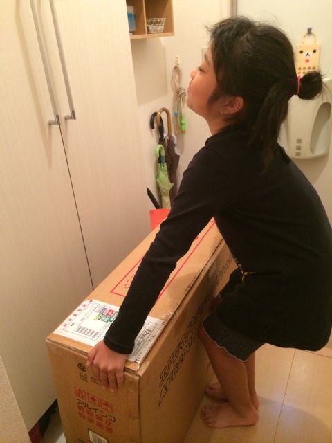 f:id:aohana:20140922191127j:plain f:id:aohana:20140922191127j:plain