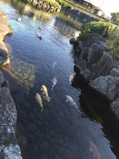 f:id:aohana:20141018233315j:plain f:id:aohana:20141018233315j:plain