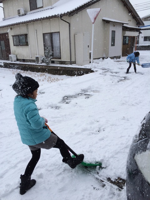 f:id:aohana:20150101234229j:plain f:id:aohana:20150101234229j:plain