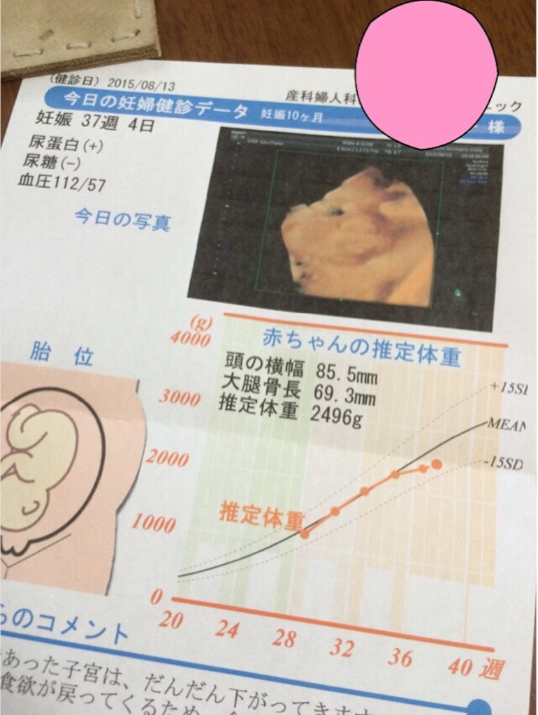 f:id:aohana:20150813201134j:image f:id:aohana:20150813201134j:image