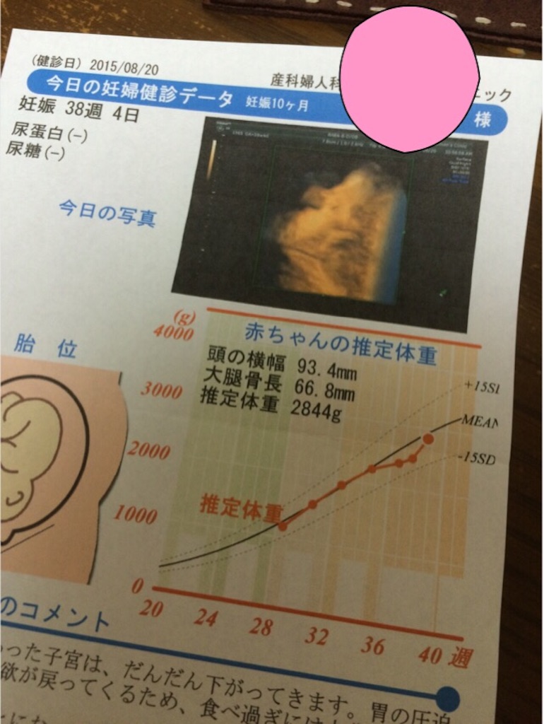 f:id:aohana:20150820210520j:image f:id:aohana:20150820210520j:image