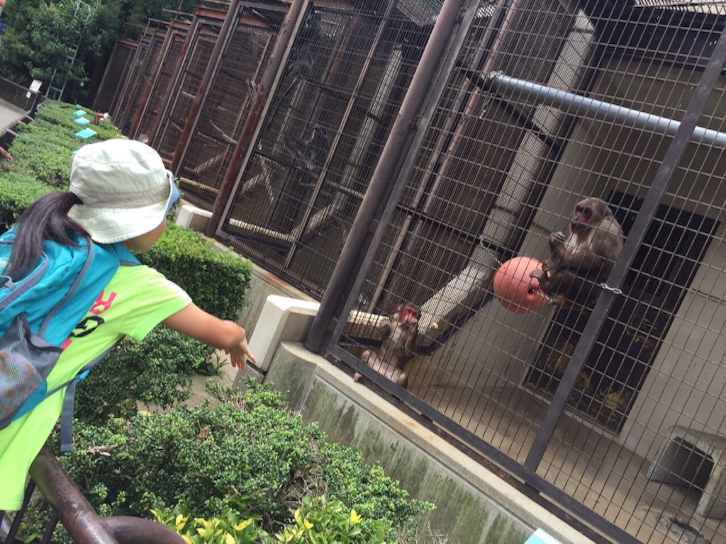 f:id:aohana:20150923171752j:image f:id:aohana:20150923171752j:image