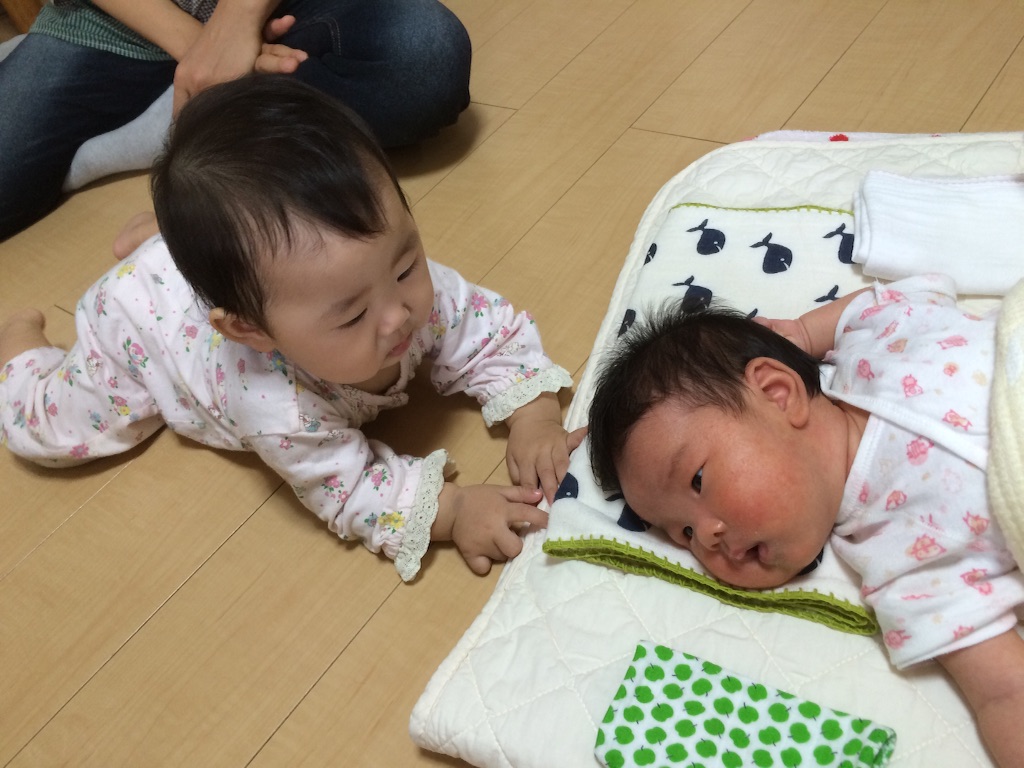 f:id:aohana:20151001163236j:image