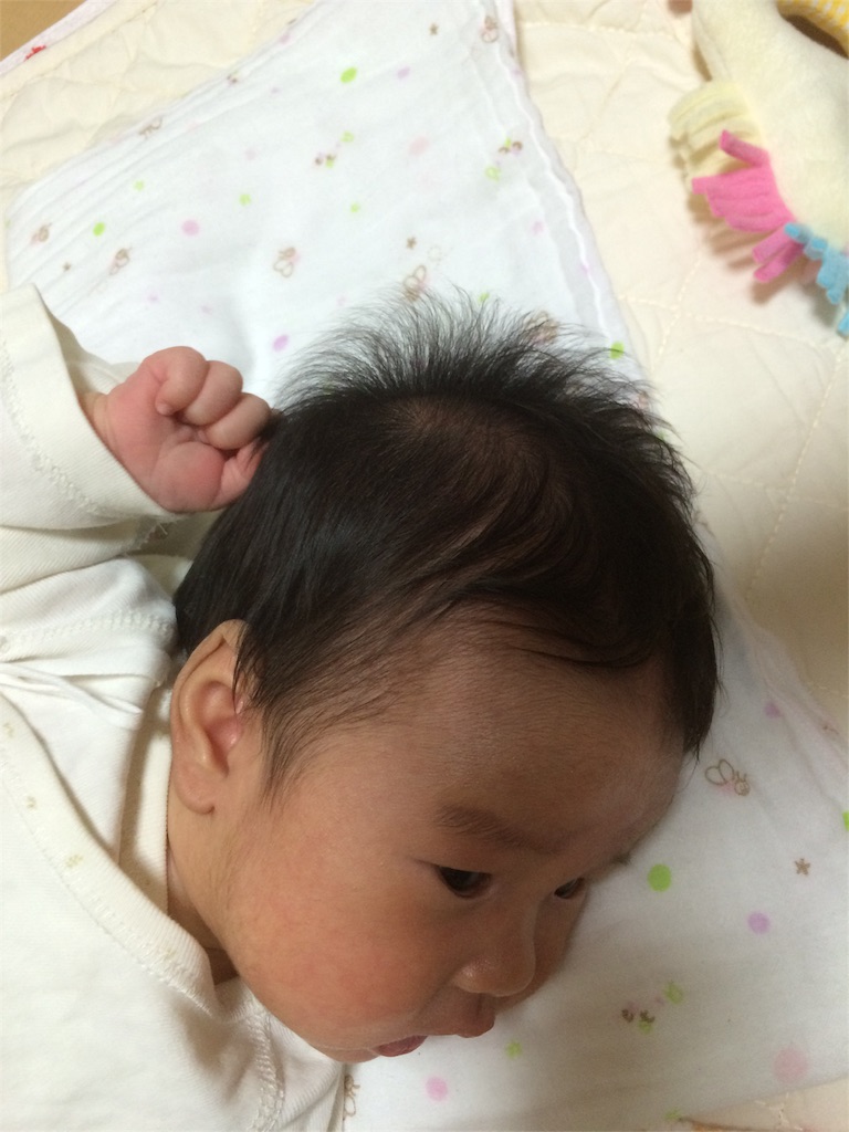 f:id:aohana:20151006204713j:image f:id:aohana:20151006204713j:image