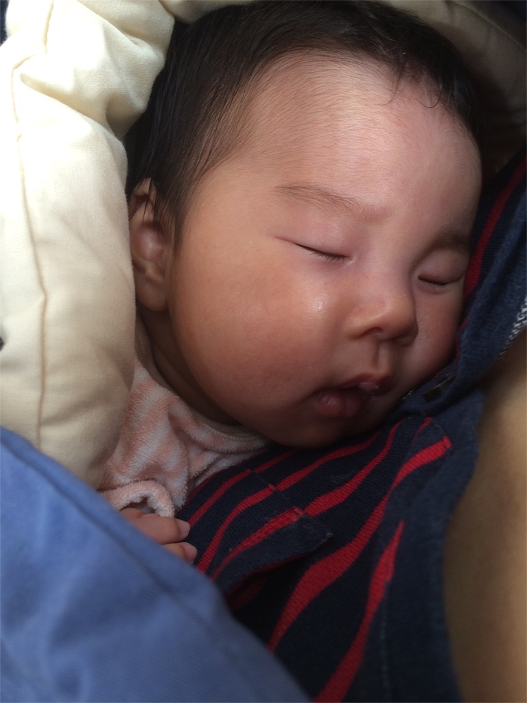 f:id:aohana:20151007170105j:image f:id:aohana:20151007170105j:image