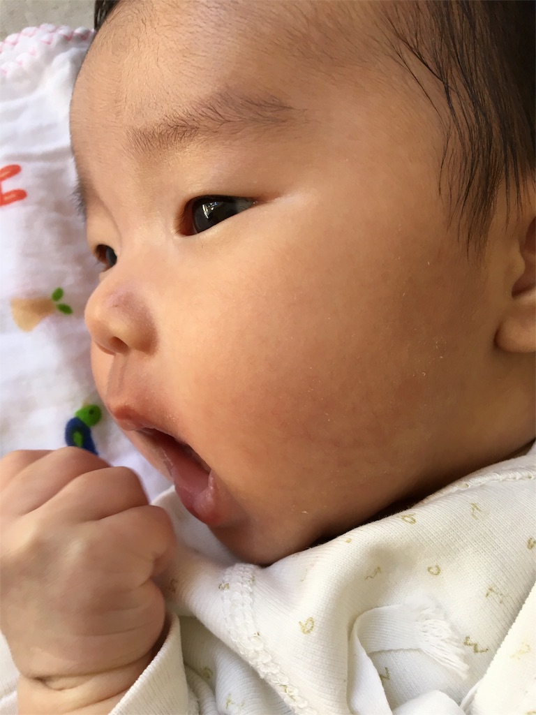 f:id:aohana:20151013151813j:image f:id:aohana:20151013151813j:image