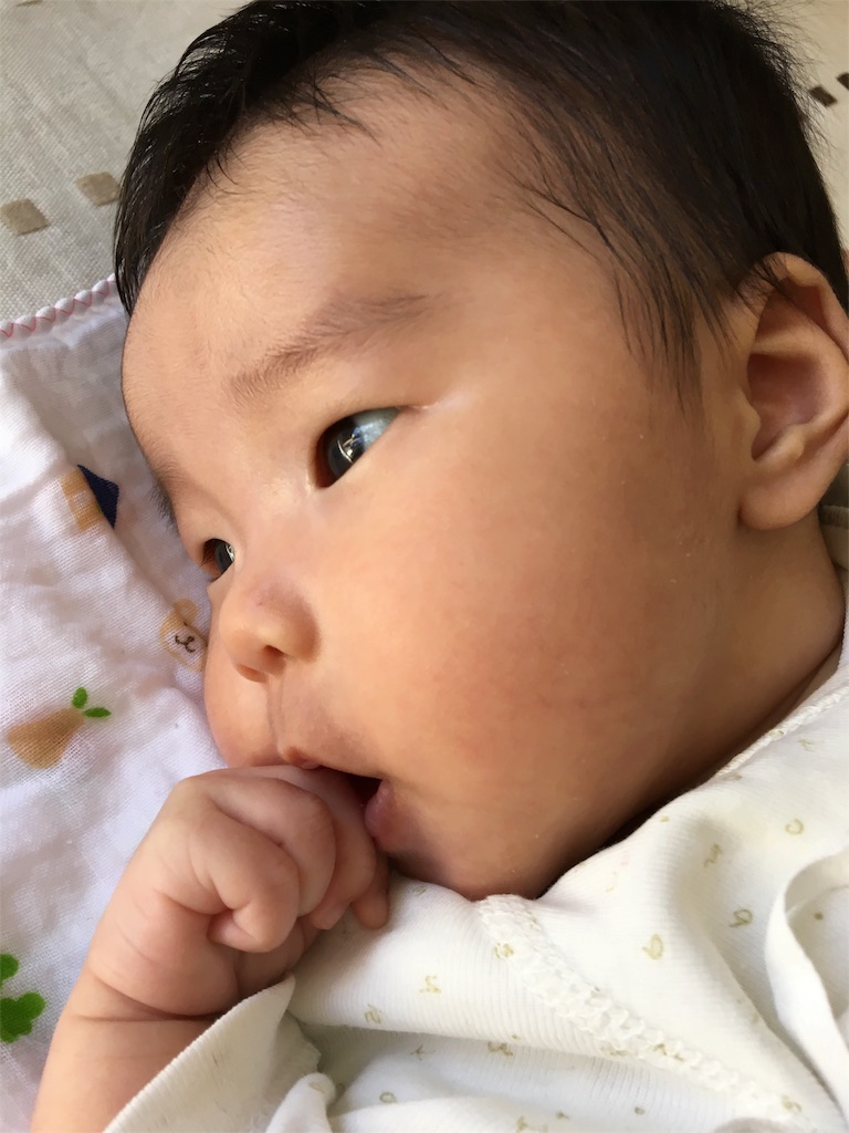 f:id:aohana:20151013151820j:image f:id:aohana:20151013151820j:image