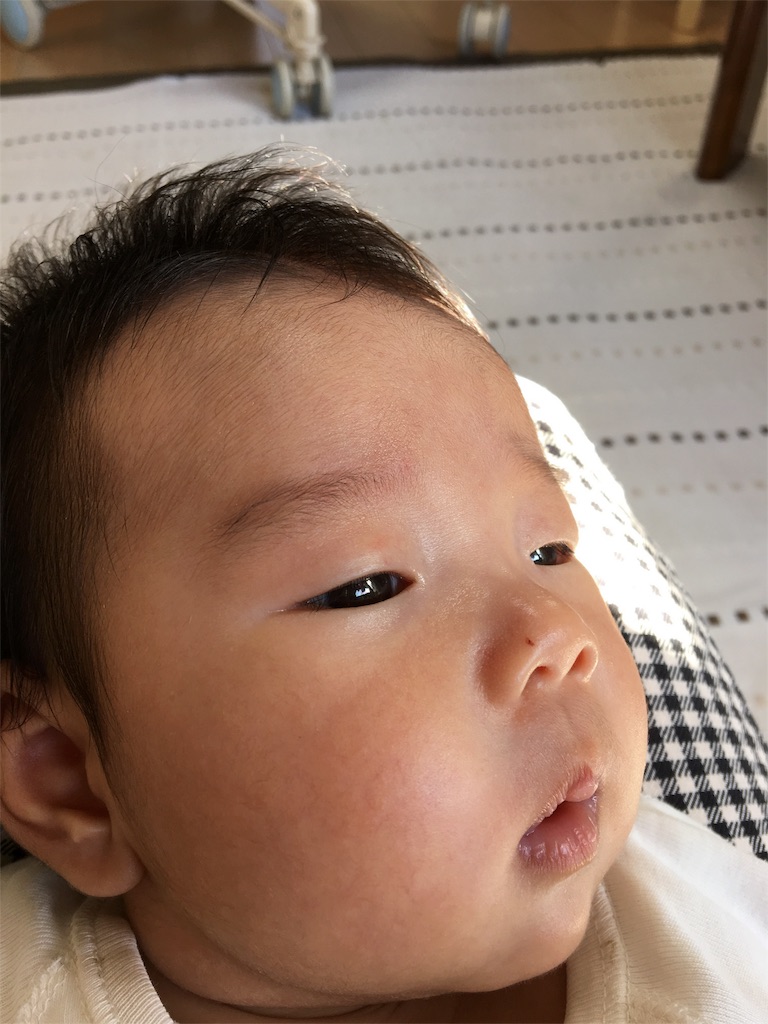 f:id:aohana:20151014152653j:image f:id:aohana:20151014152653j:image