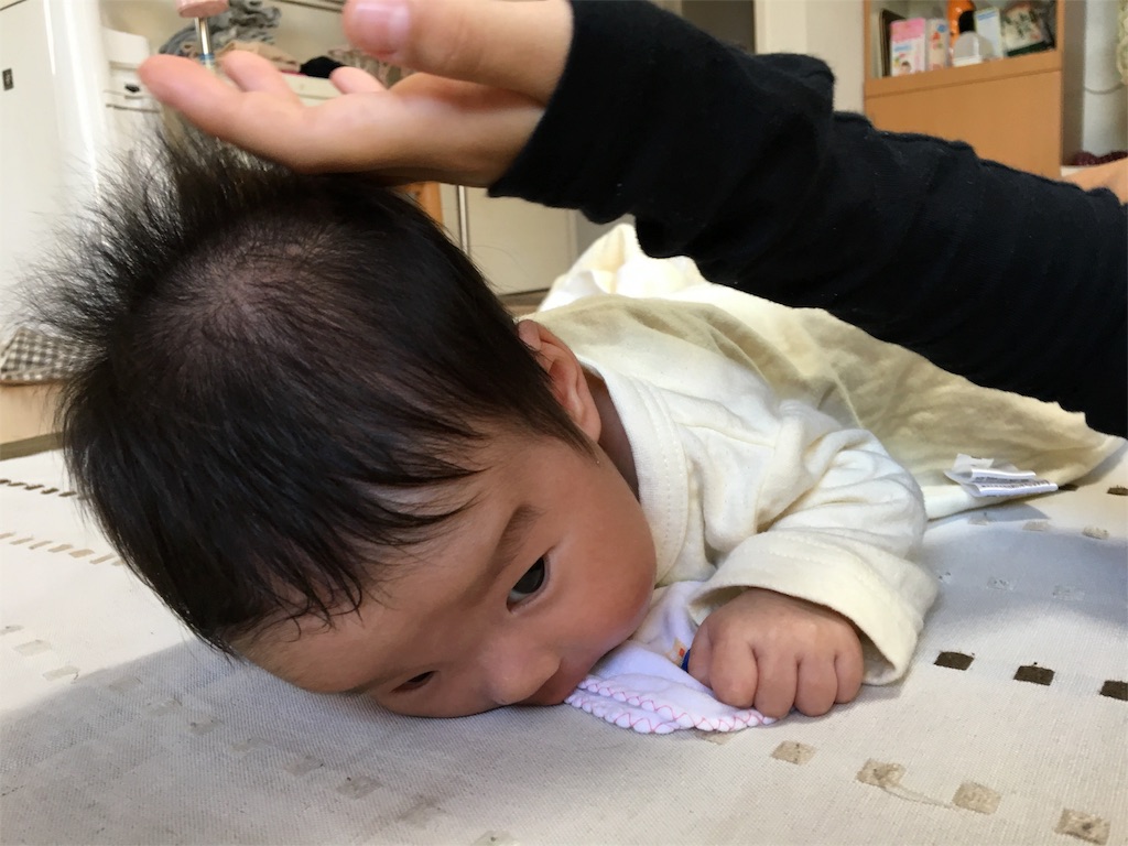 f:id:aohana:20151016215604j:image f:id:aohana:20151016215604j:image