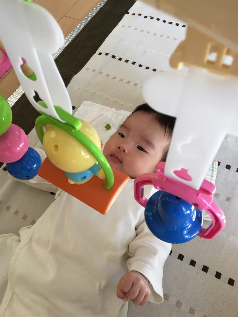 f:id:aohana:20151027182926j:image f:id:aohana:20151027182926j:image