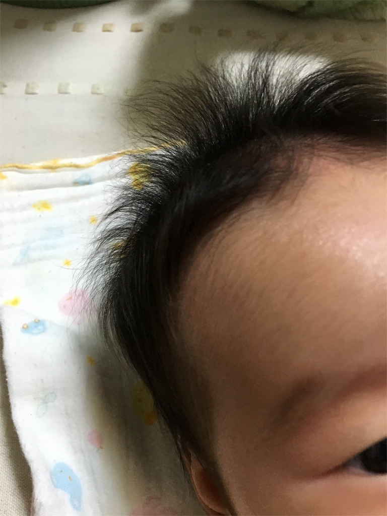 f:id:aohana:20151027182945j:image f:id:aohana:20151027182945j:image