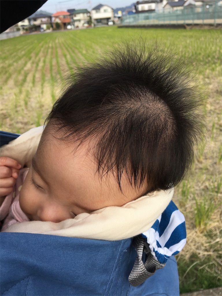 f:id:aohana:20151106221121j:image f:id:aohana:20151106221121j:image
