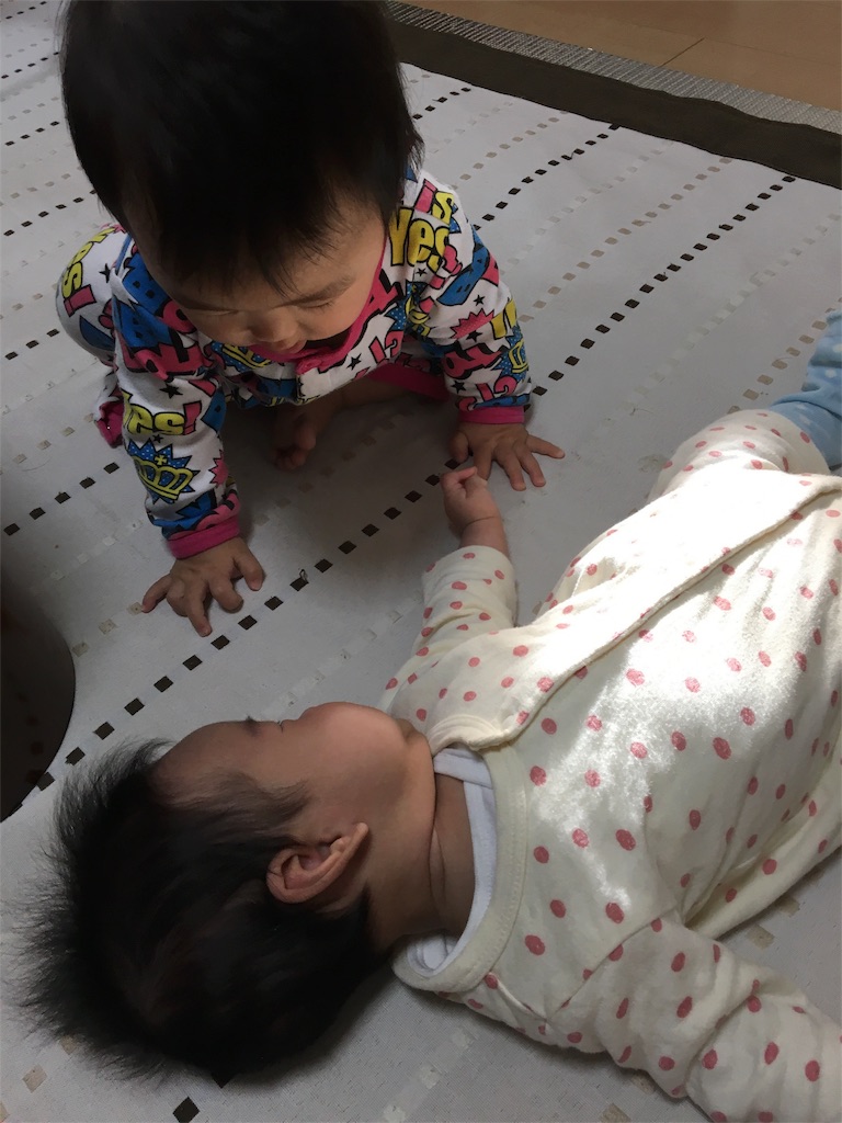 f:id:aohana:20151111182723j:image f:id:aohana:20151111182723j:image