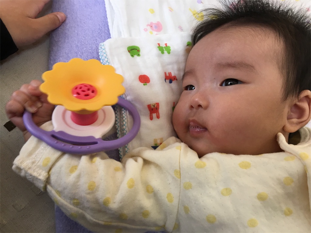 f:id:aohana:20151115224314j:image f:id:aohana:20151115224314j:image