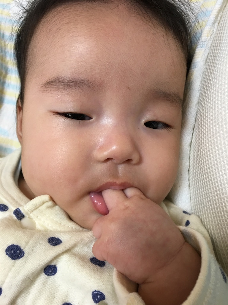 f:id:aohana:20151210194026j:image f:id:aohana:20151210194026j:image