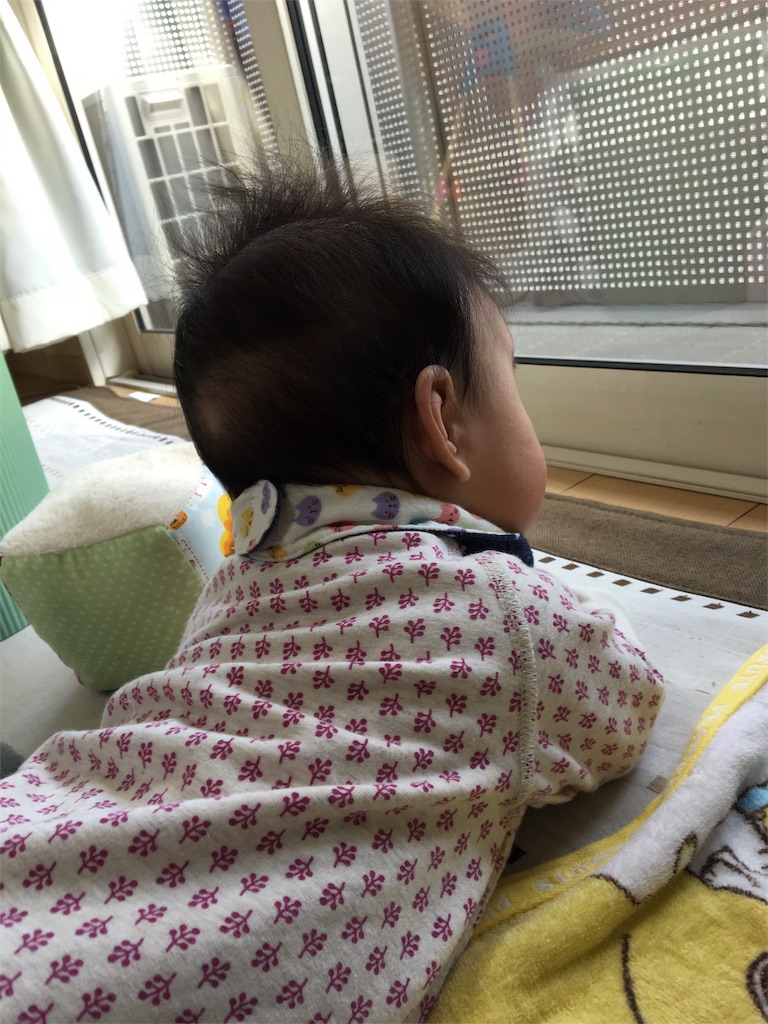 f:id:aohana:20160112160525j:image f:id:aohana:20160112160525j:image