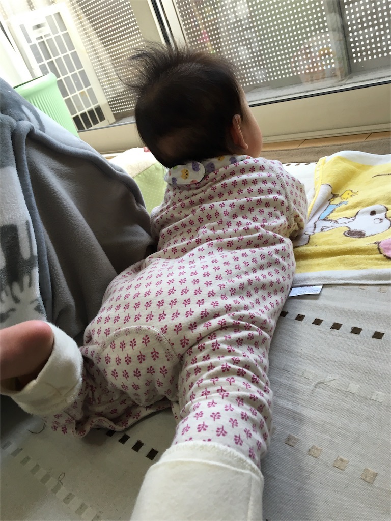 f:id:aohana:20160112160546j:image f:id:aohana:20160112160546j:image