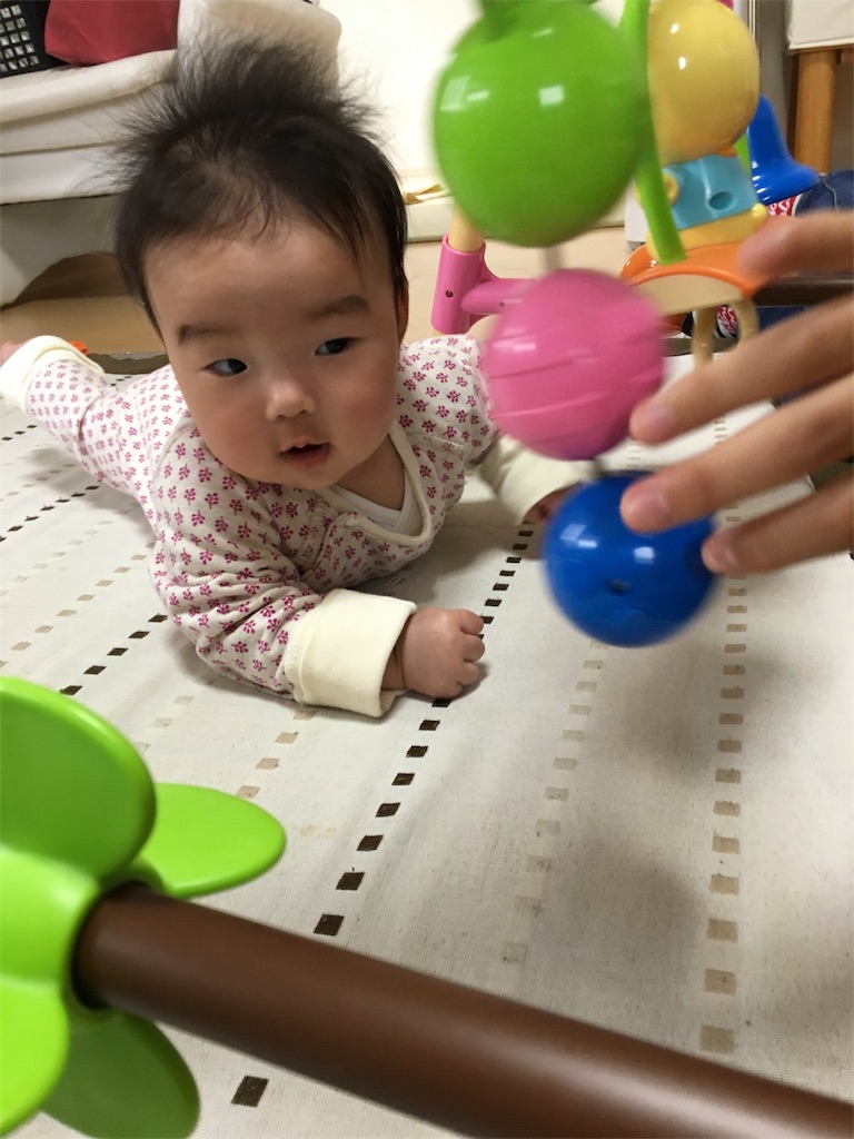 f:id:aohana:20160120144150j:image f:id:aohana:20160120144150j:image