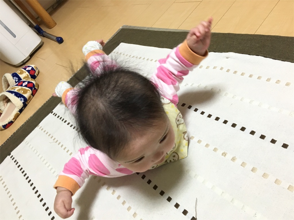 f:id:aohana:20160202221814j:image f:id:aohana:20160202221814j:image