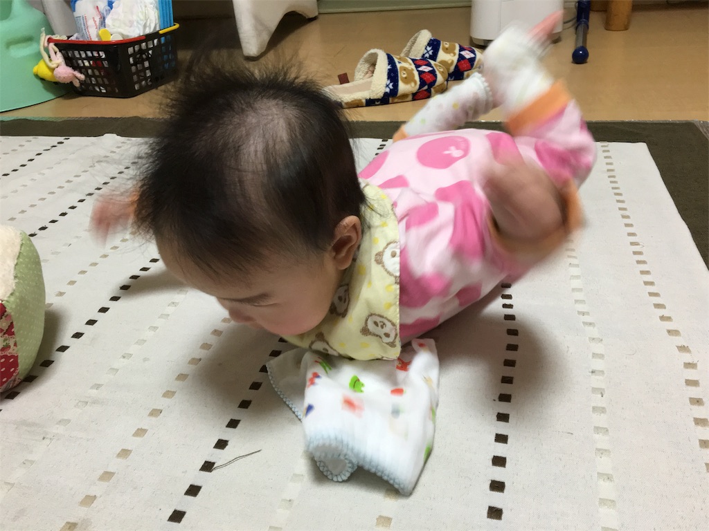 f:id:aohana:20160202221904j:image f:id:aohana:20160202221904j:image