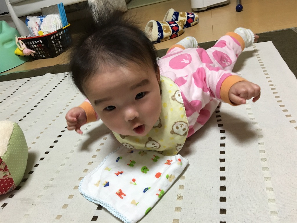 f:id:aohana:20160202222523j:image f:id:aohana:20160202222523j:image