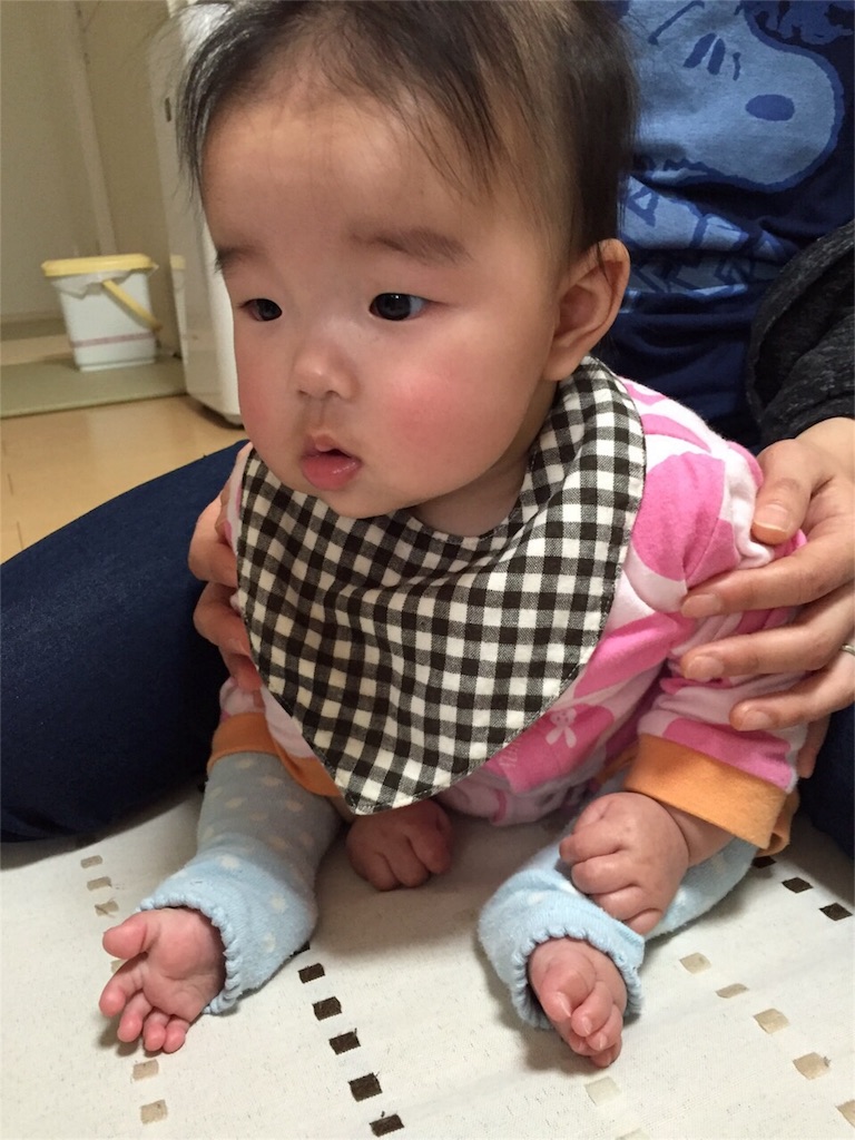 f:id:aohana:20160204211037j:image f:id:aohana:20160204211037j:image
