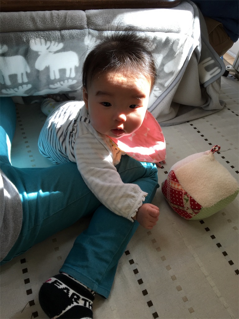 f:id:aohana:20160208141927j:image f:id:aohana:20160208141927j:image