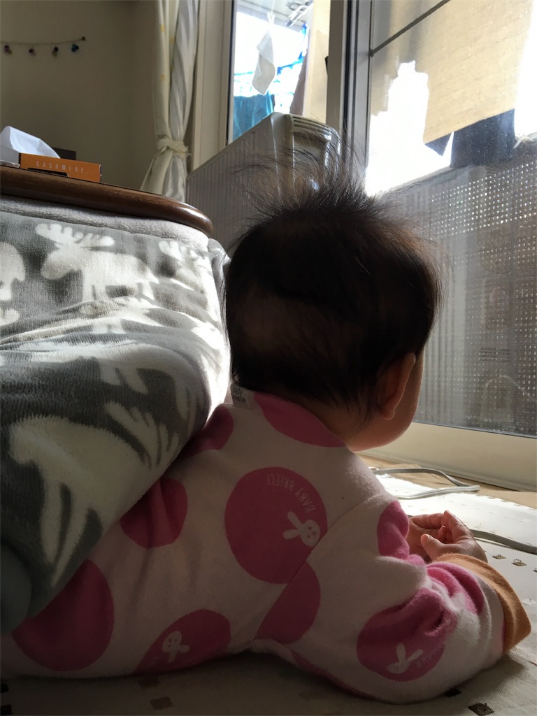 f:id:aohana:20160208142459j:image f:id:aohana:20160208142459j:image