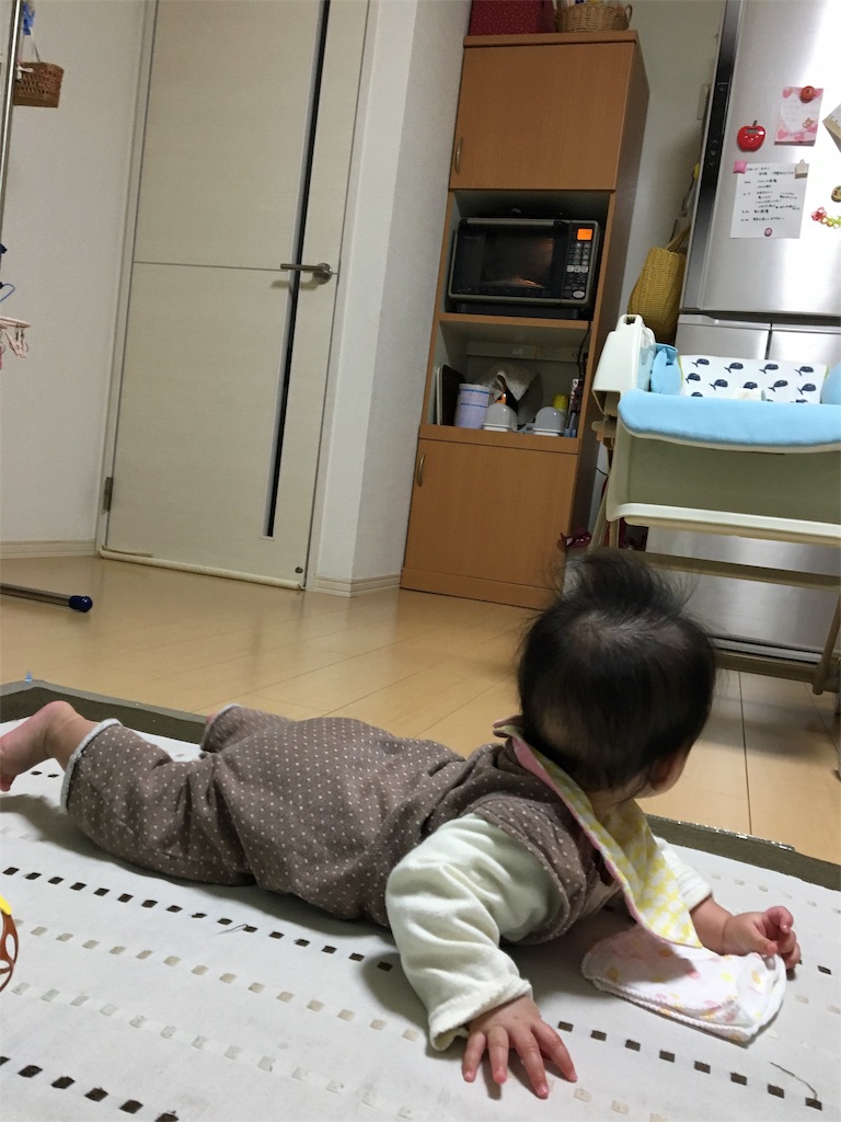 f:id:aohana:20160221172243j:image