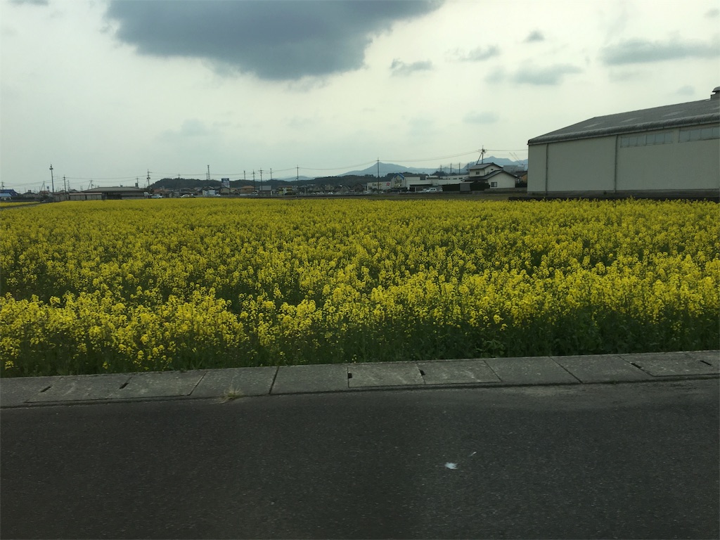 f:id:aohana:20160331233731j:image f:id:aohana:20160331233731j:image