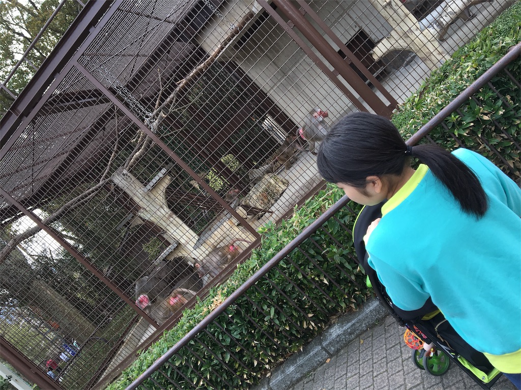 f:id:aohana:20160405221846j:image f:id:aohana:20160405221846j:image