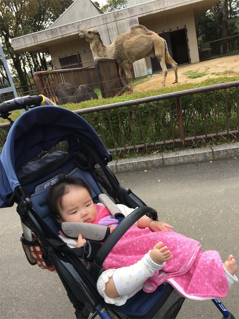 f:id:aohana:20160405222040j:image f:id:aohana:20160405222040j:image